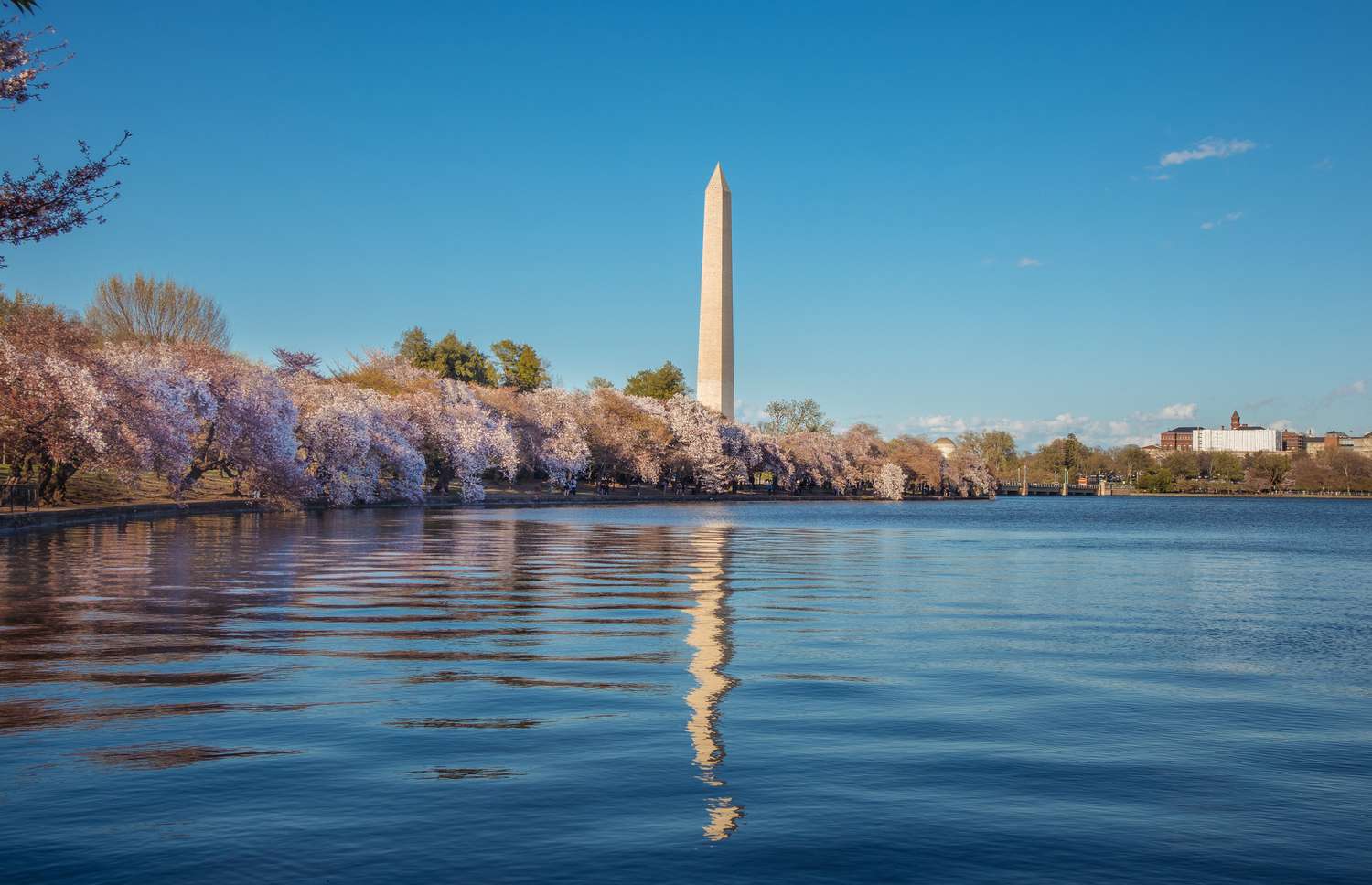 Washington Monument